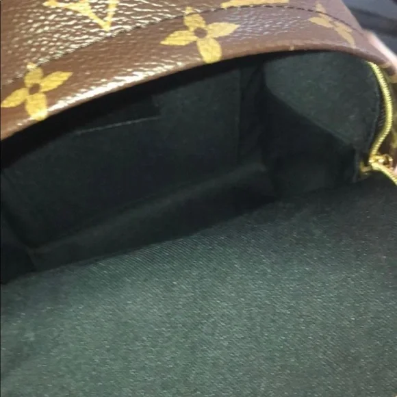 🎈SOLD🎈Louis Vuitton Palm Springs Mini Backpack - Picture 5 of 13